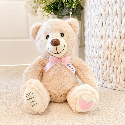 Pink/Red Teddy Bear